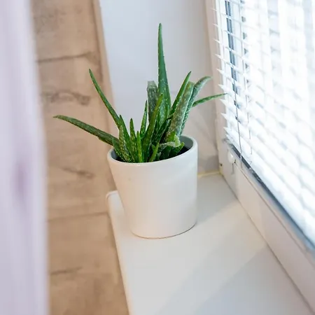 Milena Apartment *